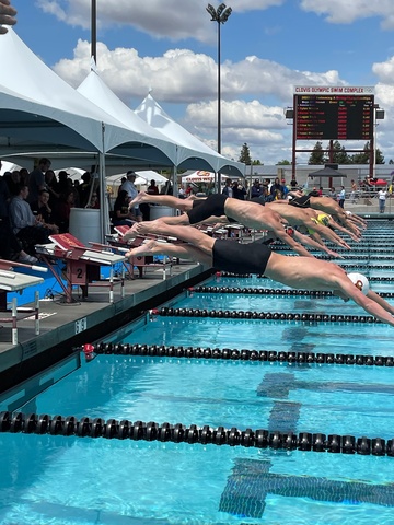 Sylas Maurin image 1