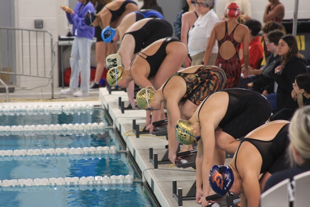 Gracie Solis image 3