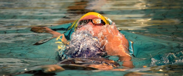 Ida Rudelius image 1