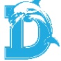 DuBois Area YMCA logo