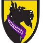 Ballston Spa Sr High School logo