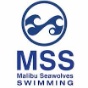 MSS