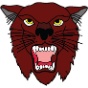 Calallen High School logo