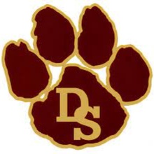 Dripping Springs High School logo