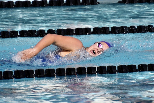 Sienna Borchert image 5