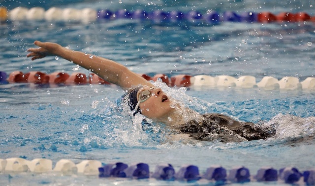 Kylie Willis image 7