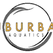 PV PAC Christmas Champs