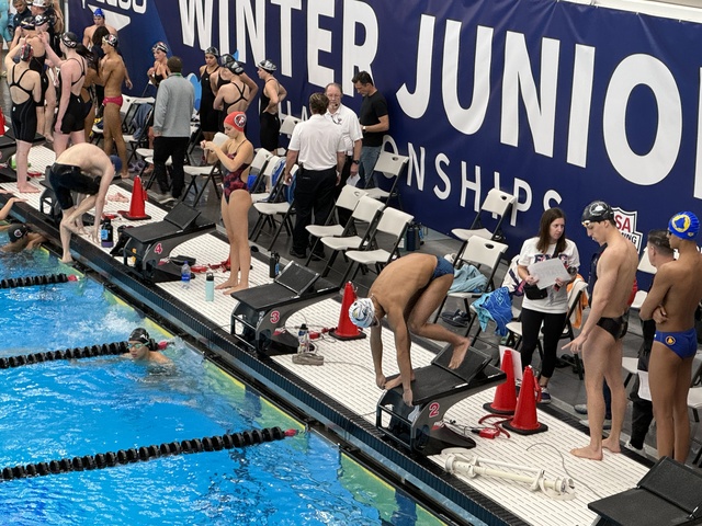 Dustin Saguros image 1