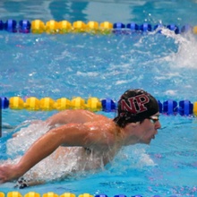 Will H Mergl profile image