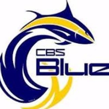 Conception Bay South Bluefins logo