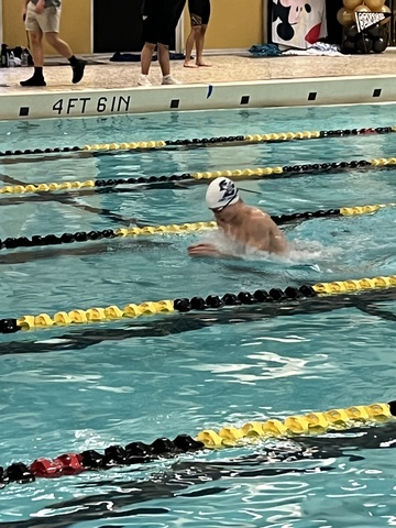 Grey Bordeau image 5