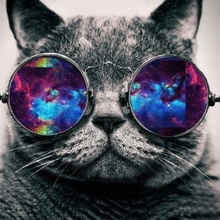 Luca T Olivieri profile image