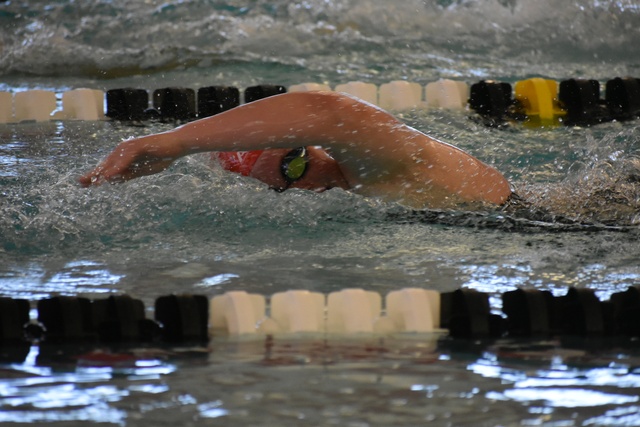 Kelaney Kumlien image 1