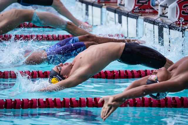 Yonathan Cohen image 7