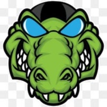 Ada Alligators logo