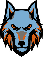 Ballantyne Ridge High School logo