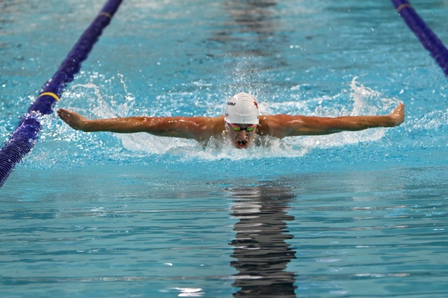 Dominic Hilton image 7