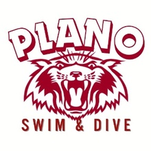 Plano v. McKinney/Richardson/JJP