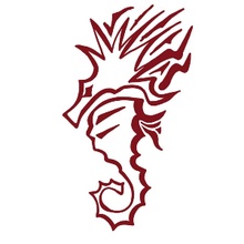 Tonawanda vs. Pioneer