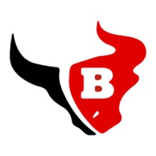 Bloomingdale Senior High School logo