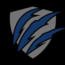 Instinct Swimming logo
