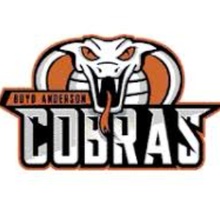 Boyd H Anderson High School logo