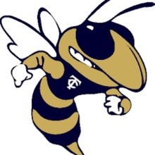 Thomas County Central High School logo