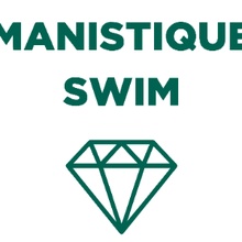 Manistique High School logo