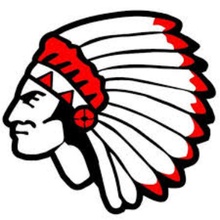 Danville Community High School logo