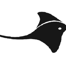 Saratoga YMCA vs. Glens Falls Y vs. Kingston Y #3