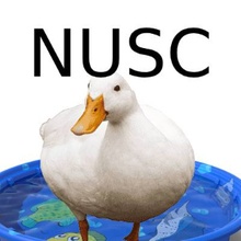 Rubber Ducky Invitational