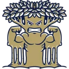 New College of Florida logo