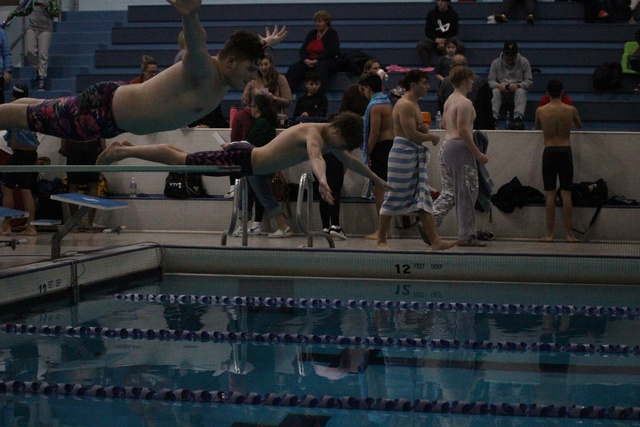 Payton Greenberg image 1