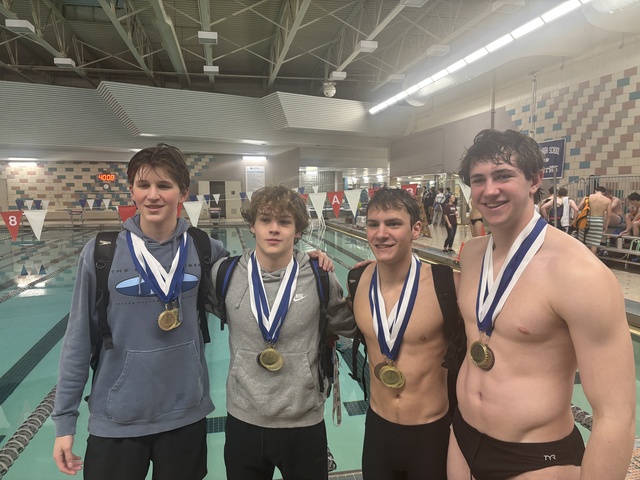 Grey Bordeau image 3