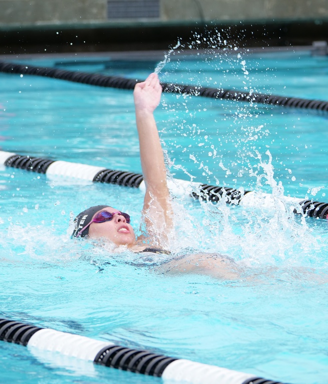 Swimcloud Iris Price | Swimcloud