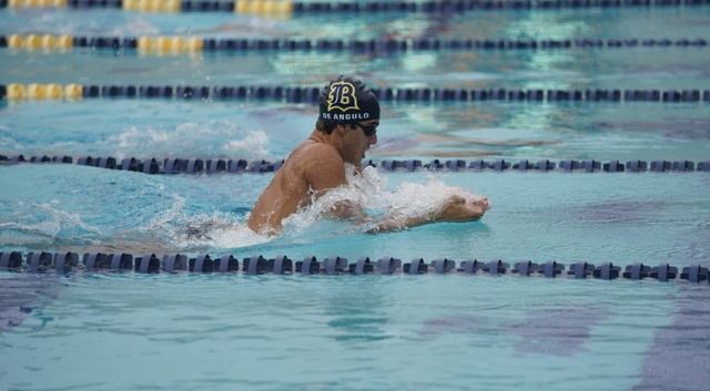 Chris De Angulo image 4