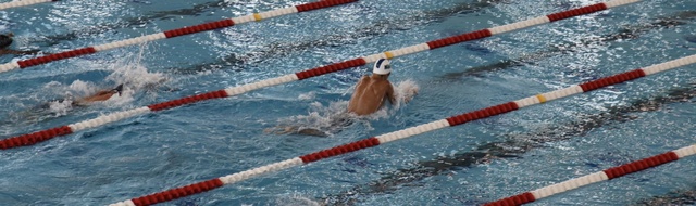 Chris De Angulo image 2