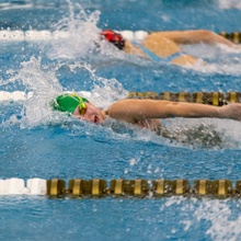 Vanessa Miecznikowski