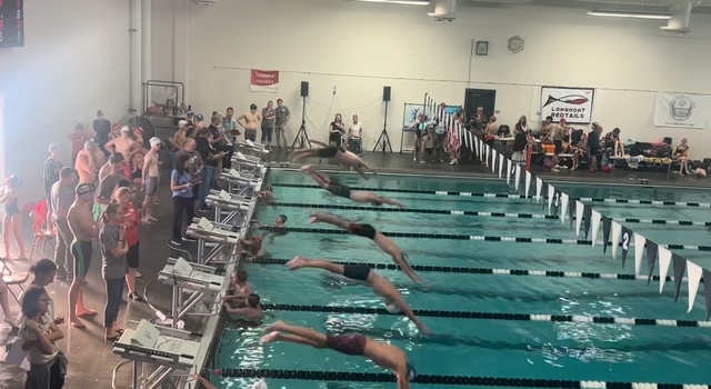 Tristan Maiorino image 3