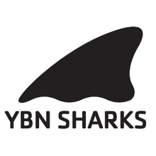 YMCA Buffalo Niagara logo