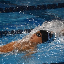 Alexander L Diaz (Alex) profile image