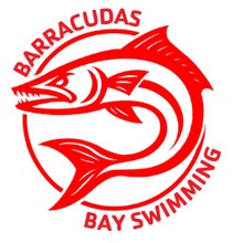 Bloomsburg Area YMCA (BAY) logo