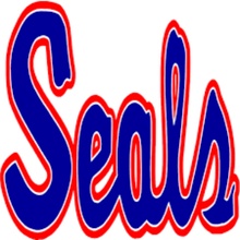 Selinsgrove Area High School logo