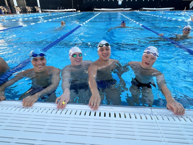 Tristan Maiorino image 2