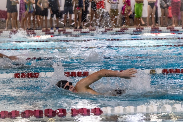 Luan Van der riet image 2