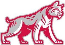 Indiana Wesleyan University logo