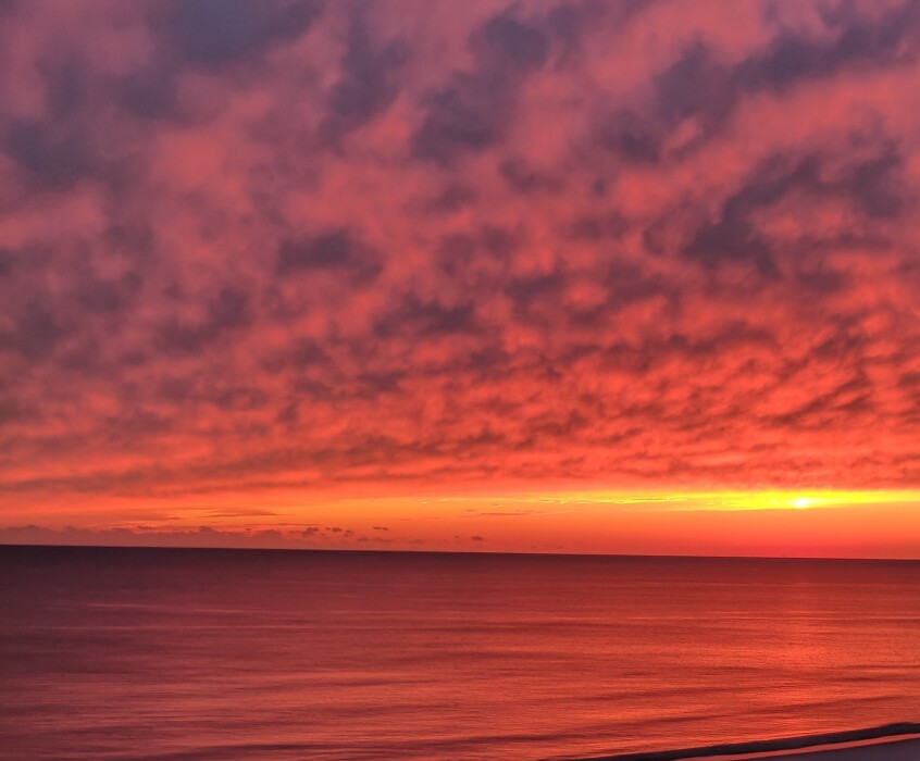 Tribute for Phyllis Cargile Bailey KentForest Lawn Funeral Home and