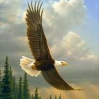 Tribute for Robert V. Voight