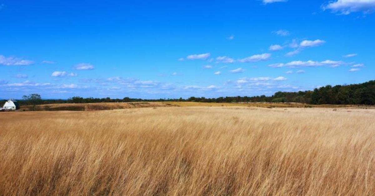 Tribute for Jason Armstrong Franklin & Downs Funeral Home McHenry Chapel