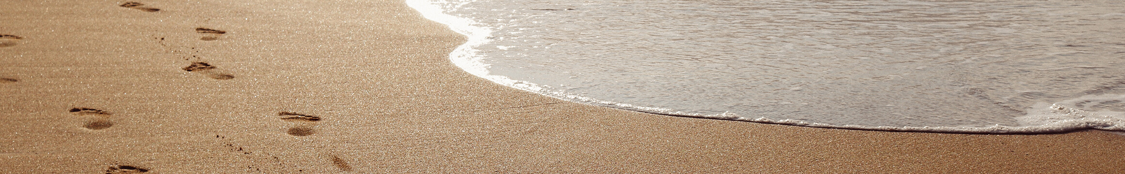 Ocean Beach 11